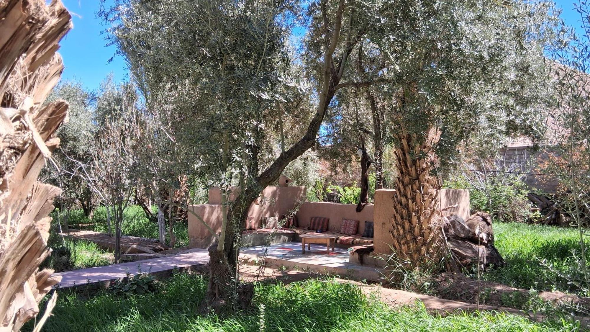 Kasbah La Palmeraie Skoura