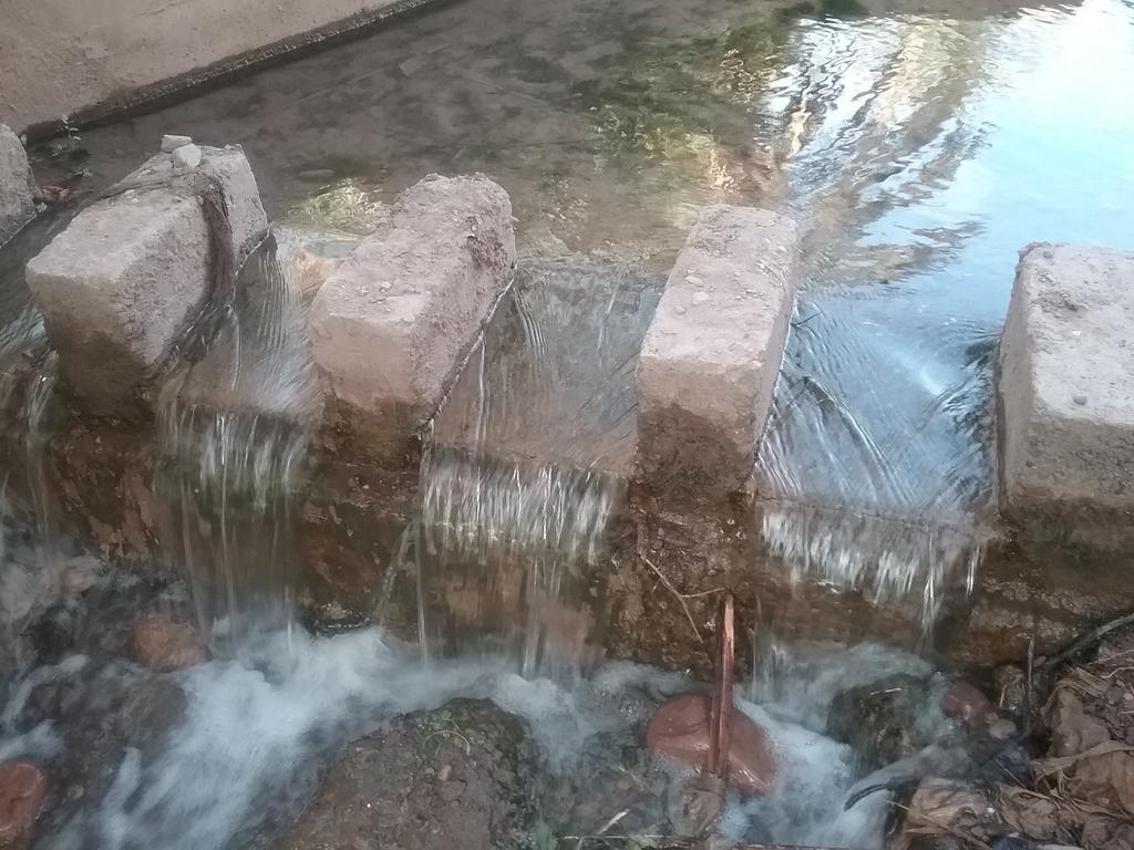 Kasbah La Palmeraie Skoura