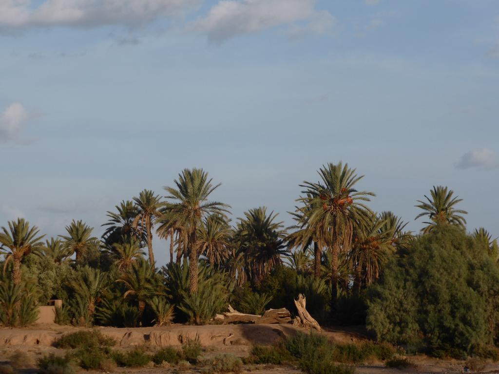 Maison d'hôtes Kasbah La Palmeraie Skoura