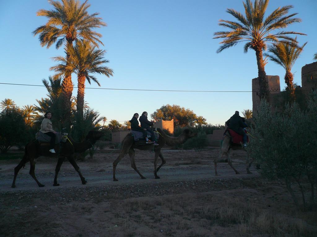 Kasbah La Palmeraie