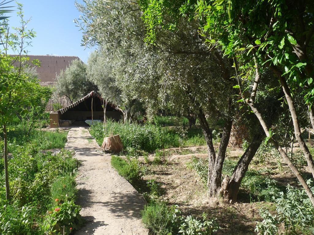 Kasbah La Palmeraie Maison d'hôtes Skoura