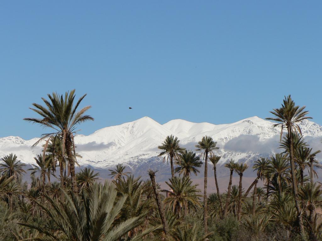 Maison d'hôtes Kasbah La Palmeraie